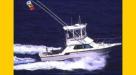 Maui Sport Fishing Charters